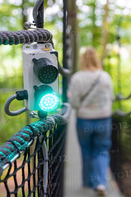 Green signal light for a woman on the treewalk, Affenberg Salem, Bodenseekreis, Germany