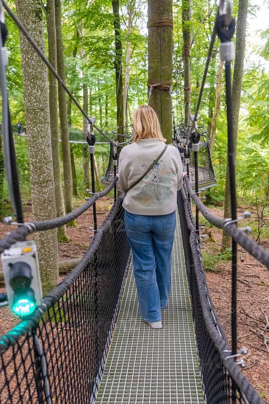 Woman walking across a narrow treetop path in the forest, Treewalk, Affenberg Salem, Bodenseekreis, Germany