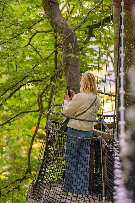Woman on a platform in the treetops of a forest, Treewalk, Affenberg Salem, Bodenseekreis, Germany