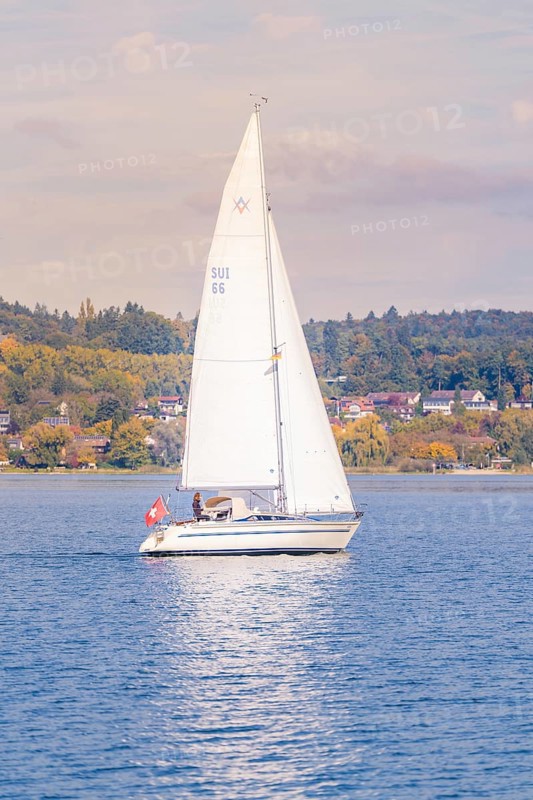 A sailboat sails peacefully on a quiet lake with autumnal landscape in the background, boat trip, Lake Constance, Germany