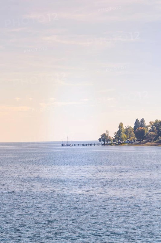 View over calm water on a wooded coast with a pier, boat trip, Lake Constance, Germany