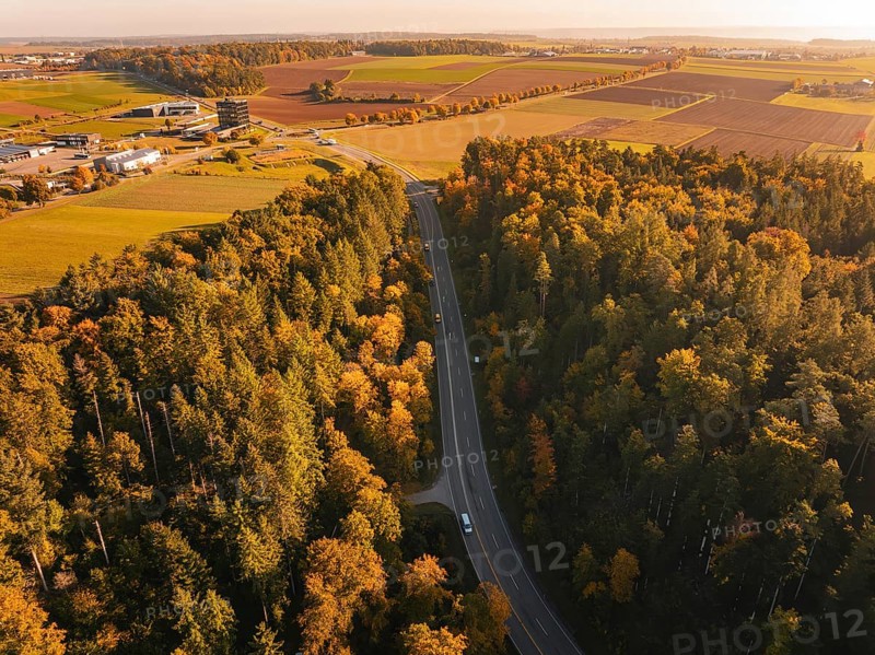 Road snakes through an autumnal forest from a bird's eye view, Nagold, Black Forest, Germany