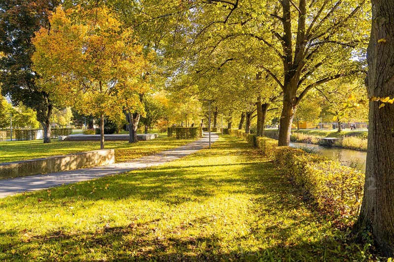 Sunny walking trail in the park with yellow foliage and large trees, Nagold, Black Forest, Germany