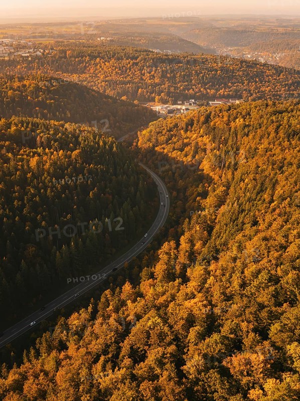 A deep gorge with thick tree vegetation in autumn and a road that snakes through it, Nagold, Black Forest, Germany