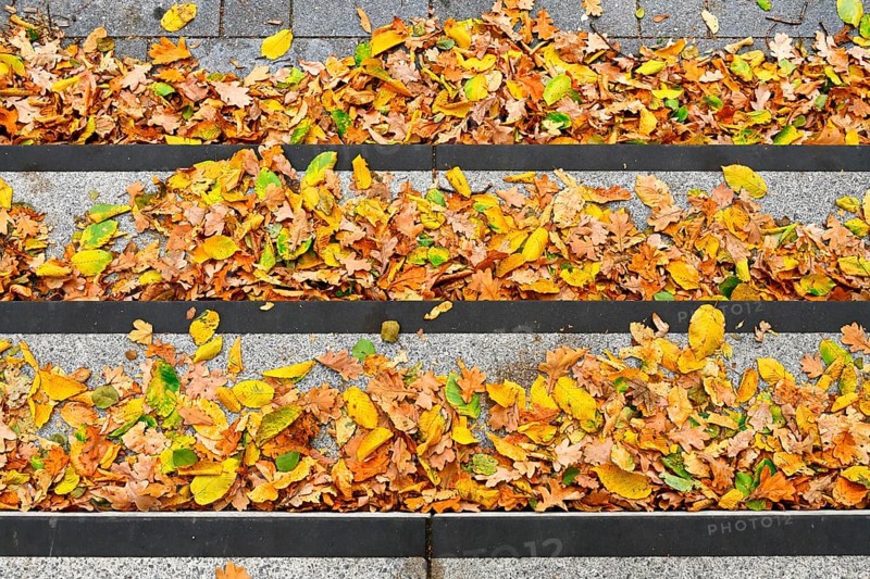Autumn leaves on a staircase in Bergedorf, Hamburg, Germany