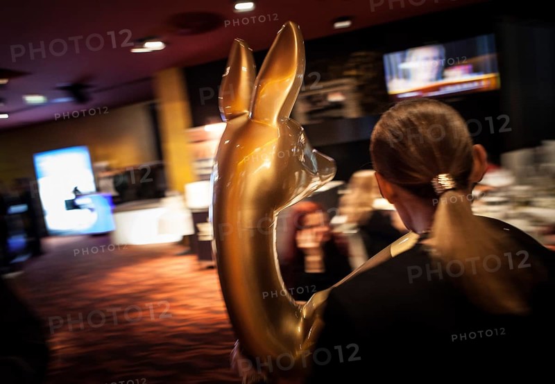 DEU Germany Germany Berlin Bambi Award Ceremony 2013 at the Stella Musical Theater am Potsdamer Platz