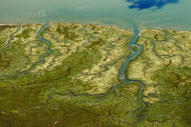 Ostheller, salt marshes with Prilen, Wadden Sea, aerial view, Norderney, North Sea, North Sea island, East Frisian Islands, Lower Saxony, Germany, Baltrum, Europe, birds-eyes view, aerial photography, aerial photography, aerial photography, overview, bird's eye view