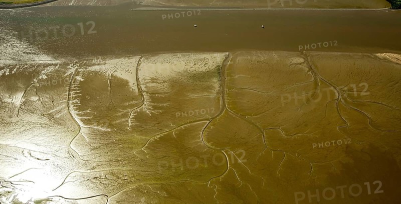 Elbe, tidal flats at low tide on an island in the Elbe near Wedel and Jork, Wedel, Lower Saxony, Germany, Free and Hanseatic City of Hamburg, Schleswig-Holstein, Europe, aerial photograph, birds-eyes view, aerial photography, aerial photography, overview, bird's eye view