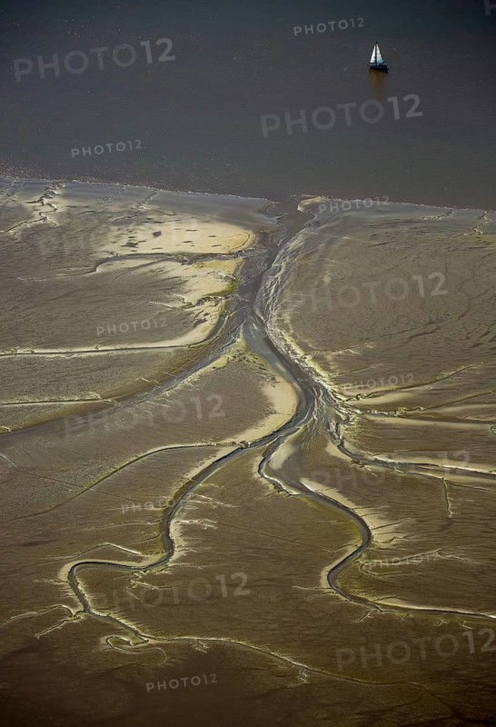 Elbe, tidal flats at low tide on an island in the Elbe near Wedel and Jork, Wedel, Lower Saxony, Germany, Free and Hanseatic City of Hamburg, Schleswig-Holstein, Europe, aerial photograph, birds-eyes view, aerial photography, aerial photography, overview, bird's eye view
