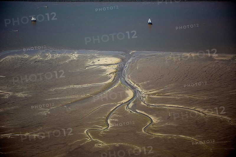 Elbe, tidal flats at low tide on an island in the Elbe near Wedel and Jork, Wedel, Lower Saxony, Germany, Free and Hanseatic City of Hamburg, Europe, aerial photograph, birds-eyes view, aerial photography, aerial photography, overview, bird's eye view