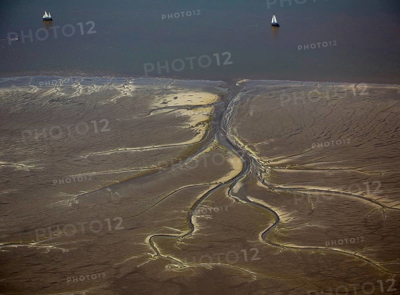 Elbe, tidal flats at low tide on an island in the Elbe near Wedel and Jork, Wedel, Lower Saxony, Germany, Free and Hanseatic City of Hamburg, Schleswig-Holstein, Europe, aerial photograph, birds-eyes view, aerial photography, aerial photography, overview, bird's eye view