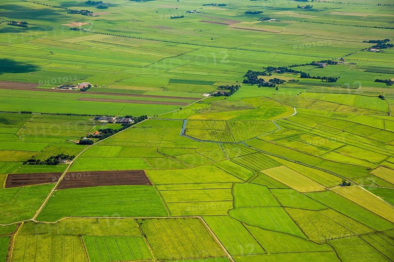 Fields in the polder land, drainage ditches in the marshes, green landscape, Bunde unified municipality in the East Frisian district of Leer, Emsland, Lower Saxony, Germany, Bunde, Europe, aerial view, birds-eyes view, aerial photography, aerial photography, overview, bird's eye view