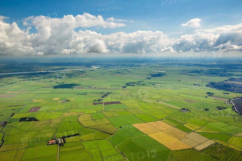 Fields in the polders, drainage ditches in the marshes, green landscape, Bunde, Emsland, Lower Saxony, Germany, Europe, aerial view, birds-eyes view, aerial photography, aerial photography, overview, bird's eye view