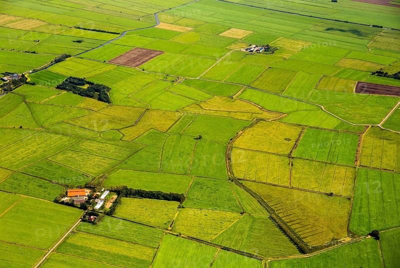 Fields in the polder land, drainage ditches in the marshes, green landscape, Bunde unified municipality in the East Frisian district of Leer, Emsland, Lower Saxony, Germany, Bunde, Europe, aerial view, birds-eyes view, aerial photography, aerial photography, overview, bird's eye view
