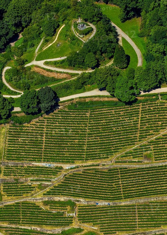 Viticulture at Freiburg Schlossberg in Oberau, Ludwigshöhe, Freiburg im Breisgau, Breisgau, Baden-Württemberg, Germany, Europe, aerial view, birds-eyes view, aerial photography, aerial photography, overview, bird's eye view, university city, trinational metropolitan region Upper Rhine