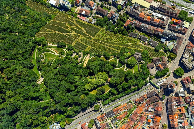 Viticulture at Freiburg Schlossberg in Oberau, Ludwigshöhe, Freiburg im Breisgau, Breisgau, Baden-Württemberg, Germany, Europe, aerial view, birds-eyes view, aerial photography, aerial photography, overview, bird's eye view, university city, trinational metropolitan region Upper Rhine