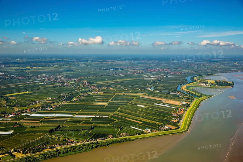 Finkenwerder, Altes Land, orchards, Hamburg, Free and Hanseatic City of Hamburg, Germany, Europe, aerial view, birds-eyes view, aerial photography, aerial photography, overview, overview, bird's eye view
