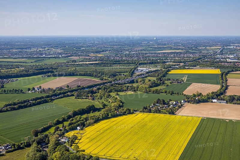 Aerial view, rape fields at the Massener Heide, motorway A1, Unna, Ruhr area, North Rhine-Westphalia, Germany, DE, Europe, distant view, shapes and colours, aerial view, aerial photography, aerial photography, natural landscape, overview, bird's-eye view, overview