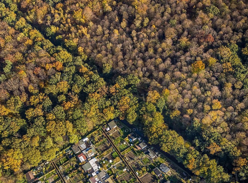Aerial view, Gartenbauverein Bergmannslust e.V., Möllen, Voerde, Ruhr area, North Rhine-Westphalia, Germany, DE, Europe, shapes and colours, community garden, autumn colours, allotment garden association, allotment garden site, allotment garden association, aerial view, aerial photography, aerial photography, allotment garden, overview, bird's-eye view, woodland, birds-eyes view, overview