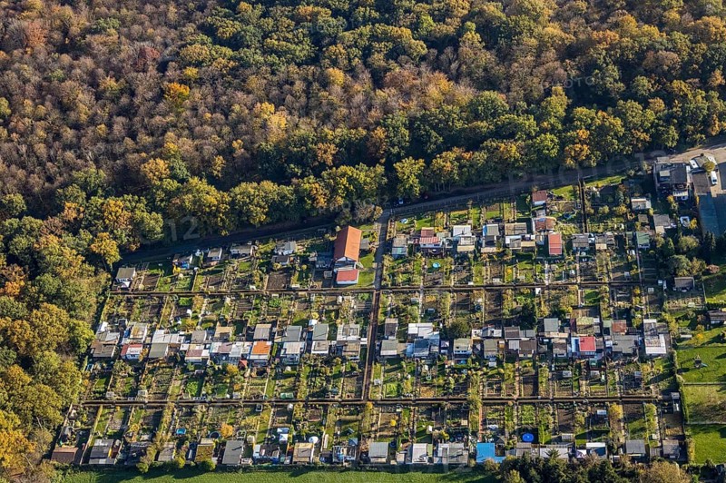 Aerial view, Gartenbauverein Bergmannslust e.V., Möllen, Voerde, Ruhr area, North Rhine-Westphalia, Germany, DE, Europe, shapes and colours, community garden, autumn colours, allotment garden association, allotment garden site, allotment garden association, aerial view, aerial photography, aerial photography, allotment garden, overview, bird's-eye view, woodland, birds-eyes view, overview