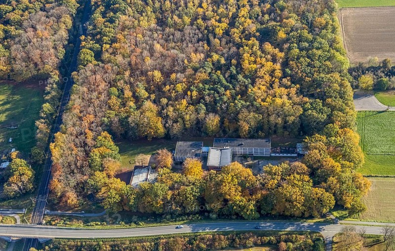 Aerial photo, Janusz-Korczak Förderschule, Im Wald, Möllen, Voerde, Ruhr area, North Rhine-Westphalia, Germany, education, educational institution, DE, Europe, autumn colours, educational institute, aerial photo, aerial photography, aerial photography, Peerdsbuschweg, Rahmstraße, school, overview, bird's eye view, forest area, birds-eyes view, overview
