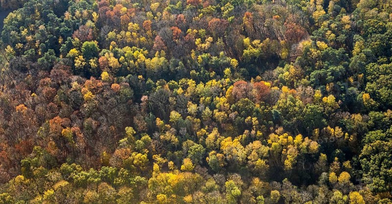 Aerial view, forest area, Möllen, Voerde, Ruhr area, North Rhine-Westphalia, Germany, DE, Europe, shapes and colours, aerial view, aerial photography, aerial photography, mixed forest, overview, bird's eye view, birds-eyes view, overview
