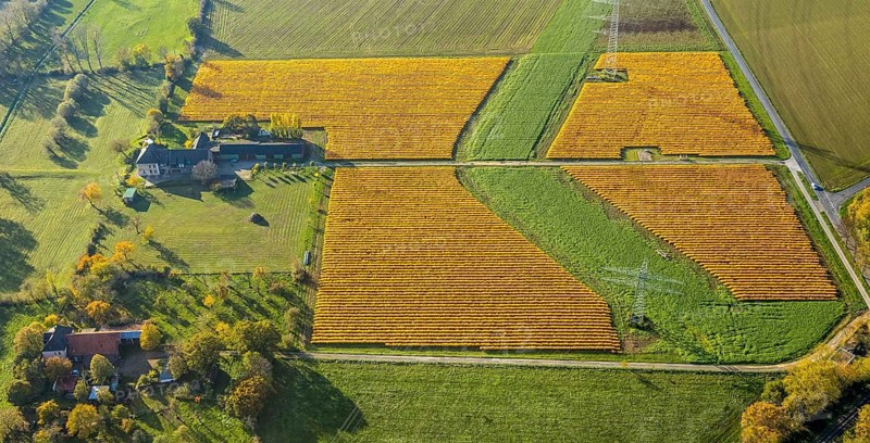 Aerial view, meadows and fields Mehrstraße, Friedrichsfeld, Voerde, Ruhr area, North Rhine-Westphalia, Germany, DE, Europe, shapes and colours, agriculture, aerial view, aerial photography, aerial photography, overview, bird's eye view, birds-eyes view, overview