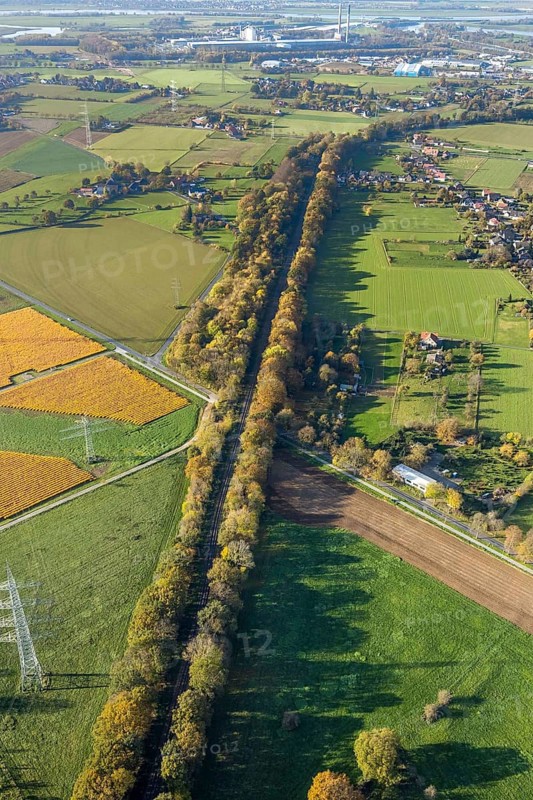 Aerial view, wooded railway line along Frankfurter Straße, reactivation of the Walsum railway, Voerde, Ruhr area, North Rhine-Westphalia, Germany, railway tracks, DE, Europe, agriculture, aerial view, aerial photography, aerial photography, overview, vegetation on tracks, bird's-eye view, overview, reactivated colliery railway line