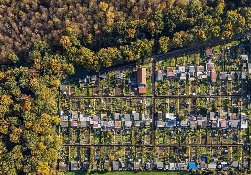 Aerial view, Gartenbauverein Bergmannslust e.V., Möllen, Voerde, Ruhr area, North Rhine-Westphalia, Germany, DE, Europe, shapes and colours, community garden, autumn colours, allotment garden association, allotment garden site, allotment garden association, aerial view, aerial photography, aerial photography, allotment garden, overview, bird's-eye view, woodland, birds-eyes view, overview
