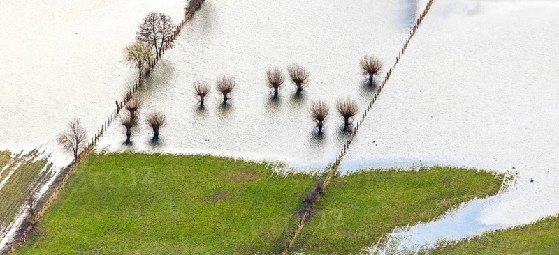 Aerial view, Styrumer Ruhrbogen, city triangle Duisburg-Oberhausen-Mülheim river Ruhr, Linksruhr, Mülheim an der Ruhr, Ruhr area, North Rhine-Westphalia, Germany, trees in the water, DE, Europe, river Ruhr, shapes and colours, flood, aerial view, aerial photography, aerial photography, Ruhraue, Ruhrufer, Speldorfer Straße, overview, bird's eye view, birds-eyes view, overview, flooding