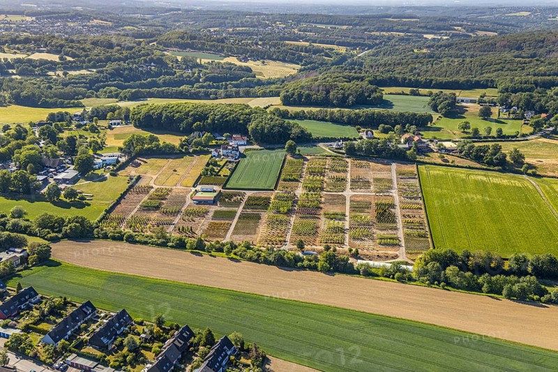 Aerial view, tree plots, tree nursery Wittener Straße 206, Ostholt, Hiddinghausen, Sprockhövel, Ruhr area, North Rhine-Westphalia, Germany, tree nursery, DE, Ennepe-Ruhr-Kreis, Europe, shapes and colours, green trees, aerial view, aerial photography, aerial photography, plots, overview, bird's-eye view, growth, birds-eyes view, overview