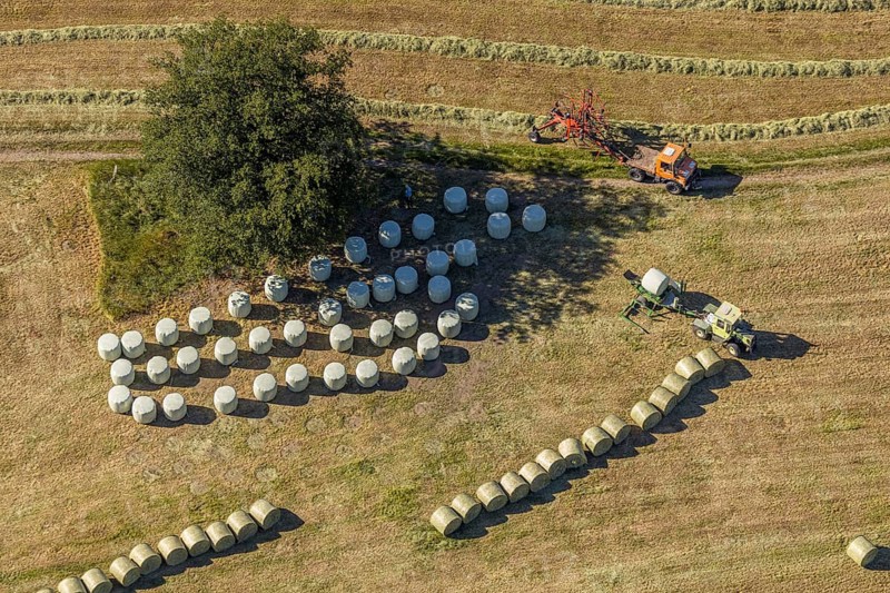 Aerial view, agricultural area, farm Auf der Niedergethe, Hiddinghauser Straße, Niedersprockhövel, Sprockhövel, Ruhr area, North Rhine-Westphalia, Germany, farm, DE, Ennepe-Ruhr-Kreis, Europe, green trees, agricultural machinery, agriculture, agricultural fields, agricultural business, agricultural enterprise, aerial photograph, aerial photography, aerial photography, overview, bird's-eye view, meadows and fields, birds-eyes view, overview, harvest, mowing, hay harvest, silage, plastic silage