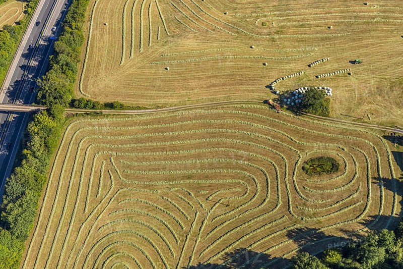 Aerial view, Agricultural area, Farm Auf der Niedergethe, Hiddinghauser Straße, Niedersprockhövel, Sprockhövel, Ruhr area, North Rhine-Westphalia, Germany, Farm, DE, Ennepe-Ruhr-Kreis, Europe, Shapes and colours, Agriculture, Agricultural fields, Agricultural business, Farming business, Aerial view, Aerial photography, Aerial photography, Overview, Bird's-eye view, Meadows and fields, birds-eyes view, overview, Harvest, Mowing, Hay harvest, Silage, Plastic silage