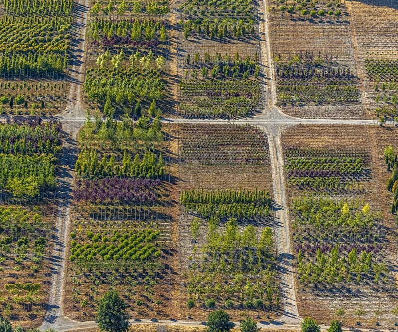 Aerial view, tree plots, tree nursery Wittener Straße 206, Ostholt, Hiddinghausen, Sprockhövel, Ruhr area, North Rhine-Westphalia, Germany, tree nursery, DE, Ennepe-Ruhr-Kreis, Europe, shapes and colours, green trees, aerial view, aerial photography, aerial photography, plots, overview, bird's-eye view, growth, birds-eyes view, overview