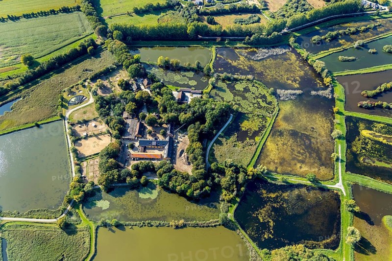 Aerial view, Rietberg estate, pond meadows, Rietberg fish ponds, Rietberg, OWL, East Westphalia-Lippe, East Westphalia, North Rhine-Westphalia, Germany, DE, Europe, river Ems, moat, aerial view, aerial photography, aerial photography, mosaic form, OWL book, OWL book, Rietberg Ems lowlands, Rietberg castle, castle road, overview, bird's-eye view, Weser Renaissance, meadows and fields, birds-eyes view, overview