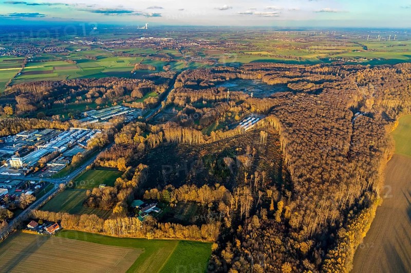 Aerial photo, Westerhaar industrial estate, TÜV NORD inspection centre Wickede Werl, forest damage, clear-cutting and spruce felling, Werl, Sauerland, North Rhine-Westphalia, Germany