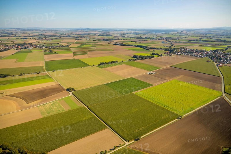 Aerial view, meadows and fields, Hohenwepel, Warburg, OWL, Ostwestfalen-Lippe, East Westphalia, North Rhine-Westphalia, Germany