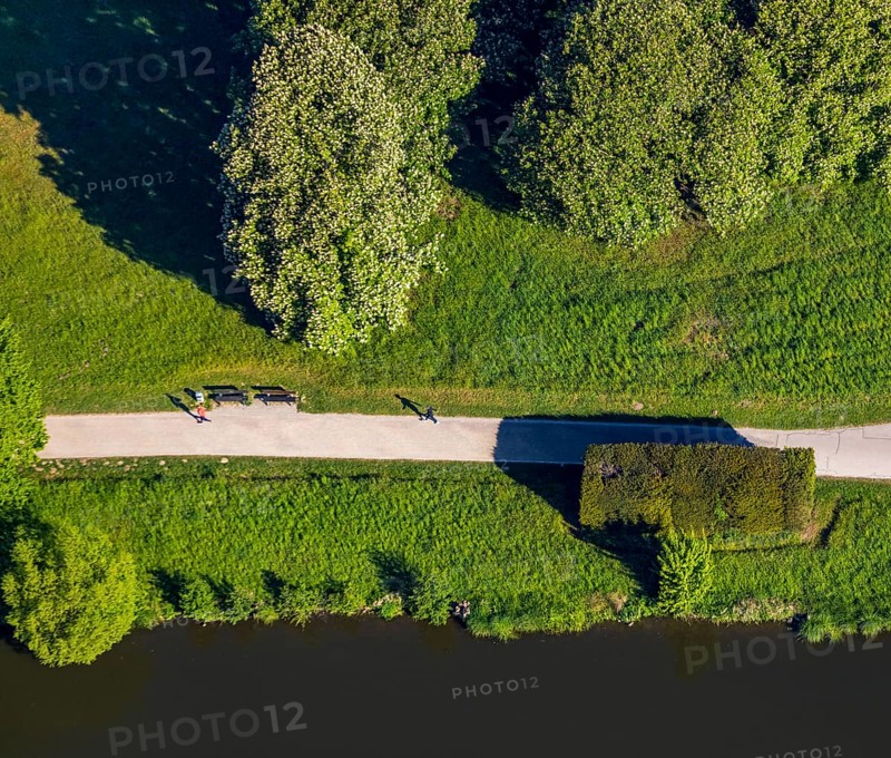 Aerial view, Less Wild Than Others, artwork in a meadow at Aasee, Münster, Münsterland, North Rhine-Westphalia, Germany, exhibitions, blocks of evergreen tree yew, DE, Europe, culture, art, aerial view, aerial photography, aerial photography, Mühlenhof-Freilichtmuseum Münster, nature to nature, Rosemarie Trockel, sculptures, overview, bird's-eye view, meadows and fields, birds-eyes view, overview