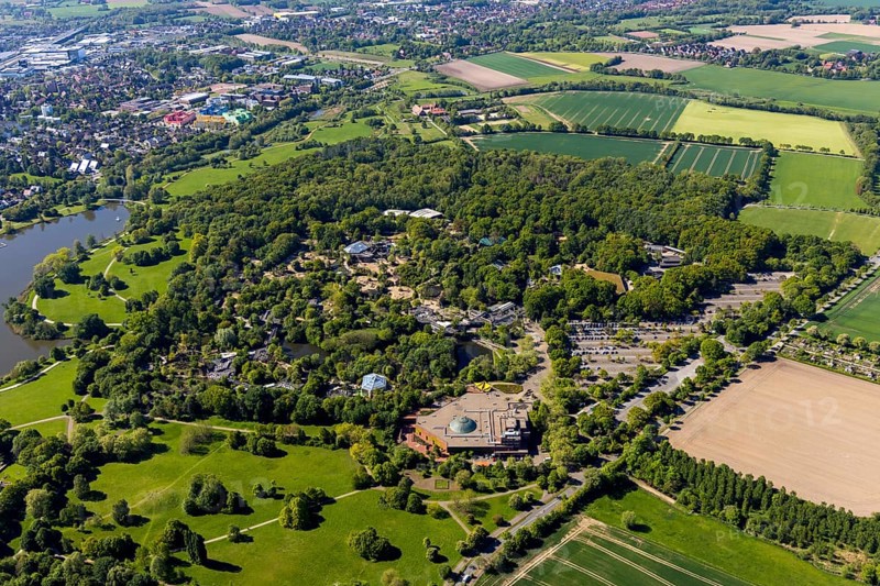 Aerial view, Allwetterzoo Münster, LWL-Museum für Naturkunde mit Planetarium, Münster, Münsterland, North Rhine-Westphalia, Germany, Aasee, DE, Europe, river Münstersche Aa, culture, art, aerial view, aerial photography, aerial photography, museum, Münstersche Aa, natural history museum, car parks, lake, reservoir, zoo, animal park, animal world, overview, bird's-eye view, forest area, zoo, Zoo Münster, birds-eyes view, cultural use, overview