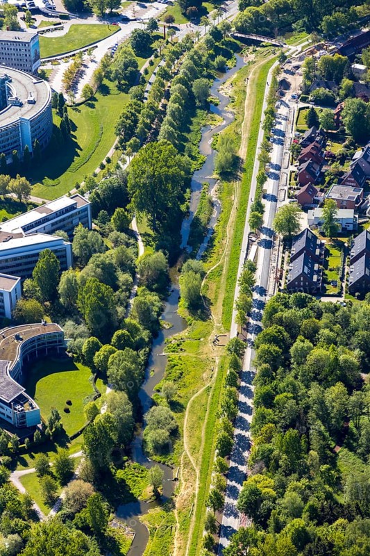 Aerial view, river Münstersche Aa, Kanalstraße, Am Wienburgpark, row of trees, Münster, Münsterland, North Rhine-Westphalia, Germany, DE, Europe, river, aerial view, aerial photography, aerial photography, overview, bird's-eye view, overview