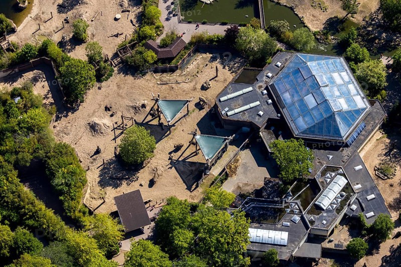 Aerial view, all-weather zoo Münster, elephant house, Münster, Münsterland, North Rhine-Westphalia, Germany, DE, Europe, aerial view, aerial photography, aerial photography, zoo, animal park, animal world, overview, bird's eye view, zoo, Zoo Münster, birds-eyes view, overview