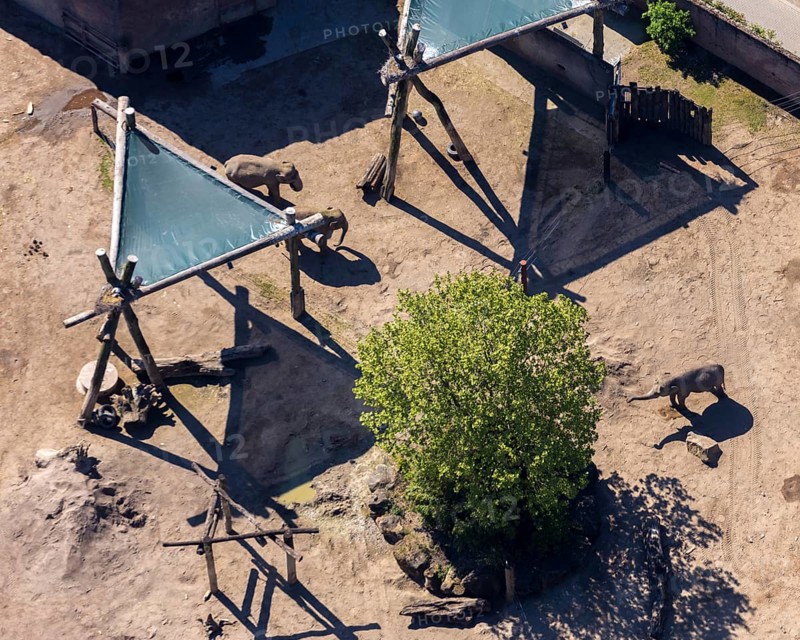 Aerial view, all-weather zoo Münster, elephant house, elephants, open-air grounds, Münster, Münsterland, North Rhine-Westphalia, Germany, DE, Europe, aerial photography, aerial photography, zoo, animal park, animal world, overview, bird's-eye view, zoo, Zoo Münster, birds-eyes view, overview