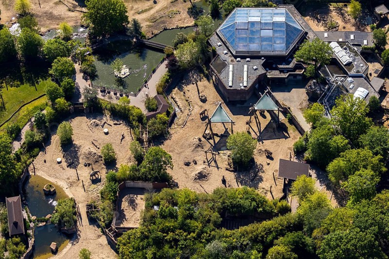 Aerial view, all-weather zoo Münster, elephant house, Münster, Münsterland, North Rhine-Westphalia, Germany, DE, Europe, aerial view, aerial photography, aerial photography, zoo, animal park, animal world, overview, bird's eye view, zoo, Zoo Münster, birds-eyes view, overview