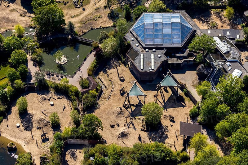 Aerial view, all-weather zoo Münster, elephant house, Münster, Münsterland, North Rhine-Westphalia, Germany, DE, Europe, aerial view, aerial photography, aerial photography, zoo, animal park, animal world, overview, bird's eye view, zoo, Zoo Münster, birds-eyes view, overview