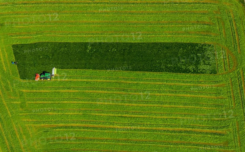 Aerial view, tractor mowing meadow, Münster, Münsterland, North Rhine-Westphalia, Germany, DE, Europe, shapes and colours, aerial view, aerial photography, aerial photography, tractor, overview, bird's eye view, birds-eyes view, overview