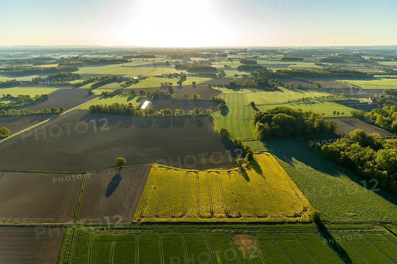 Aerial photo, Münster-Telgte airfield, Telgte, Warendorf district, Münsterland, North Rhine-Westphalia, Germany, DE, Europe, distant view, airport, FunFlight flight school, runway, aerial photo, aerial photography, aerial photography, runway, overview, bird's-eye view, woodland, meadows and fields, birds-eyes view, overview