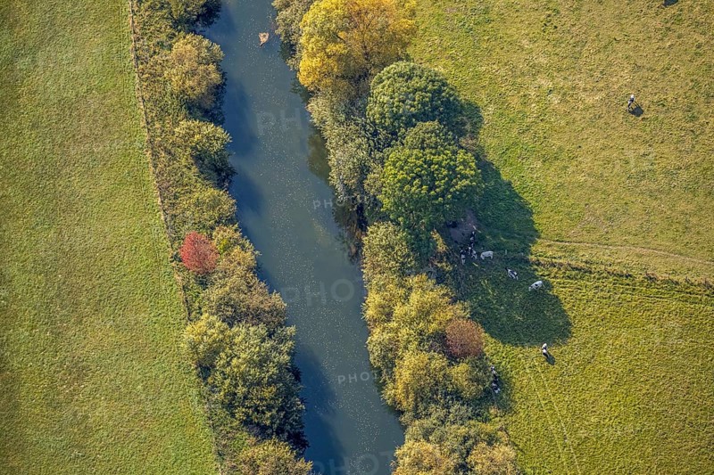 Aerial view, Lippe floodplains, river Lippe, Herzfeld, Lippetal, district Soest, North Rhine-Westphalia, Germany, DE, Europe, shapes and colours, district Soest book, district Soest book, aerial view, aerial photography, aerial photography, overview, riparian area, riparian forestation, riparian vegetation, bird's-eye view, meadows and fields, birds-eyes view, grazing cows, overview