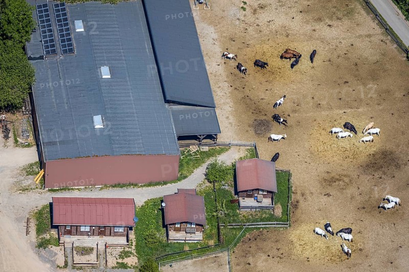 Aerial view, Elspe-Festival-Gelände, Zur Naturbühne, Lennestadt, Sauerland, North Rhine-Westphalia, Germany, DE, Europe, event location, Karl-May Festival, culture, art, aerial photography, aerial photography, aerial photography, horses, overview, events, venue, event location, bird's eye view, birds-eyes view, overview