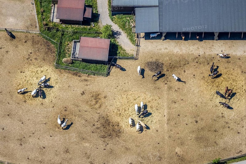 Aerial view, Elspe-Festival-Gelände, Zur Naturbühne, Lennestadt, Sauerland, North Rhine-Westphalia, Germany, DE, Europe, event location, Karl-May Festival, culture, art, aerial photography, aerial photography, aerial photography, horses, overview, events, venue, event location, bird's eye view, birds-eyes view, overview