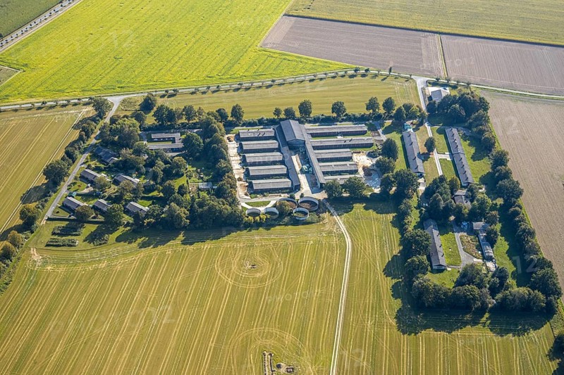Aerial view, Sheep Breeders' Association of North Rhine-Westphalia, Im Wöholz, Institute for Performance Testing in Animal Breeding, Stables, Eickelborn, Lippstadt, Soest District, North Rhine-Westphalia, Germany, DE, Europe, Soest-Buch District, SoestBuch District, Agricultural area with buildings, Agricultural fields, Agricultural buildings, Aerial view, Aerial photography, Aerial photography, Schoneberger Straße, Overview, Bird's-eye view, bird's-eye view, overview